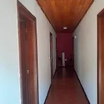 Os Girassóis Da Carla Braga