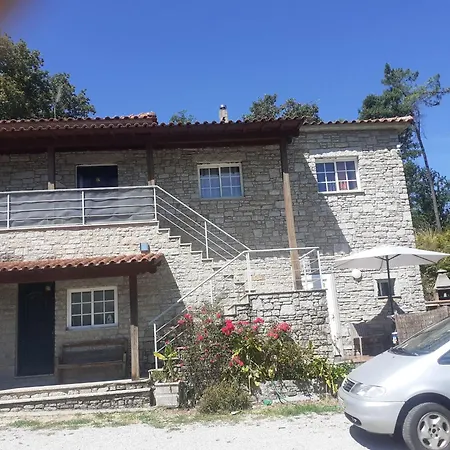 Os Girassois Da Carla Braga