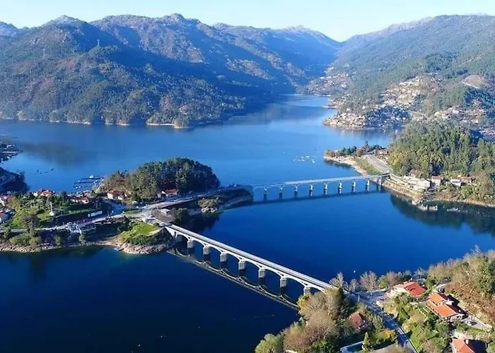 Os Girassois Da Carla