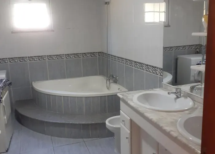 Os Girassois Da Carla *