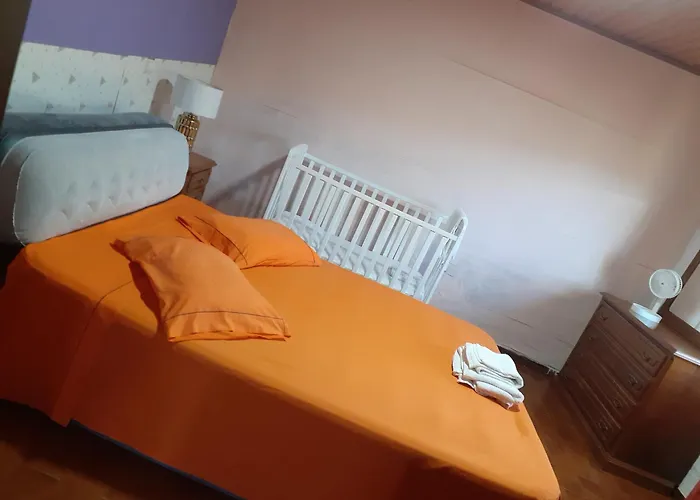 Os Girassois Da Carla Tatil parkı Braga